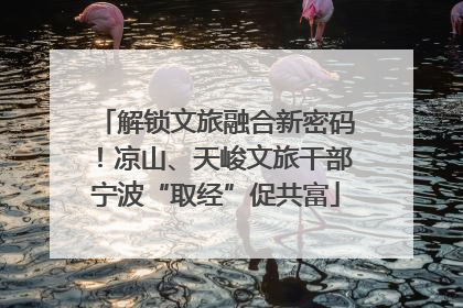解锁文旅融合新密码！凉山、天峻文旅干部宁波“取经”促共富