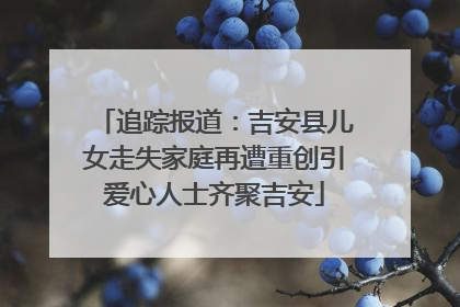 追踪报道：吉安县儿女走失家庭再遭重创引爱心人士齐聚吉安