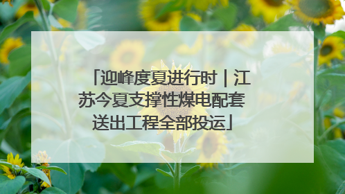 迎峰度夏进行时｜江苏今夏支撑性煤电配套送出工程全部投运