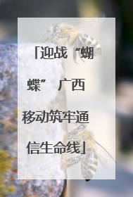 迎战“蝴蝶” 广西移动筑牢通信生命线