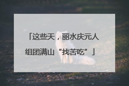 这些天，丽水庆元人组团满山“找苦吃”