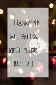 这家产业园，靠什么跻身“国家队”？