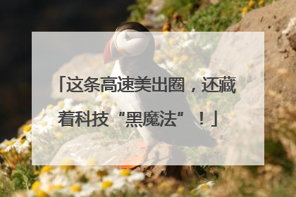 这条高速美出圈，还藏着科技“黑魔法”！
