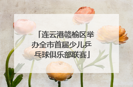 连云港赣榆区举办全市首届少儿乒乓球俱乐部联赛