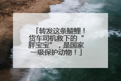转发这条鲮鲤！货车司机救下的“胖宝宝”，是国家一级保护动物！