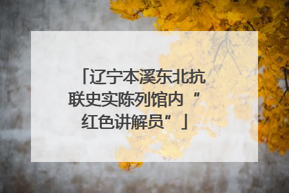辽宁本溪东北抗联史实陈列馆内“红色讲解员”
