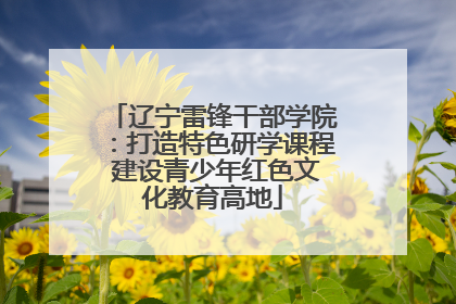 辽宁雷锋干部学院：打造特色研学课程 建设青少年红色文化教育高地