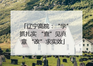 辽宁高院：“学”抓扎实 “查”见真章 “改”求实效