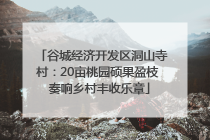 谷城经济开发区洞山寺村：20亩桃园硕果盈枝 奏响乡村丰收乐章