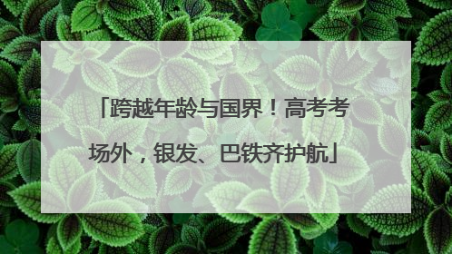跨越年龄与国界！高考考场外，银发、巴铁齐护航