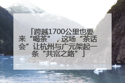跨越1700公里也要来“喝茶”，这场“茶话会”让杭州与广元架起一条“共富之路”