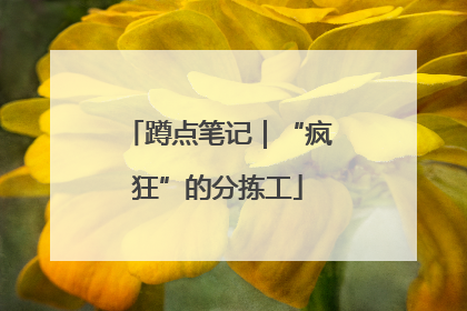 蹲点笔记｜“疯狂”的分拣工