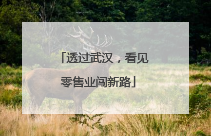 透过武汉，看见零售业闯新路