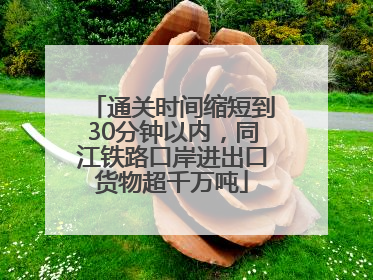 通关时间缩短到30分钟以内，同江铁路口岸进出口货物超千万吨