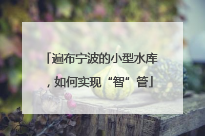 遍布宁波的小型水库，如何实现“智”管