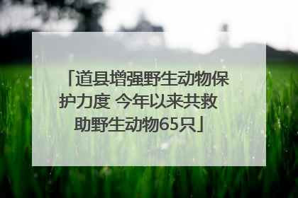 道县增强野生动物保护力度 今年以来共救助野生动物65只