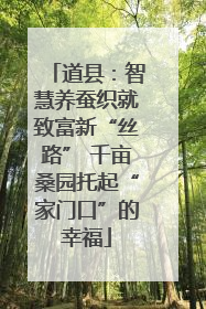 道县：智慧养蚕织就致富新“丝路” 千亩桑园托起“家门口”的幸福