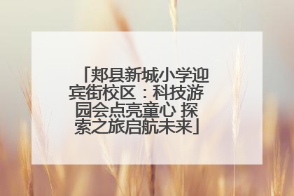 郏县新城小学迎宾街校区：科技游园会点亮童心 探索之旅启航未来