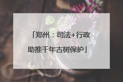 郑州：司法+行政助推千年古树保护