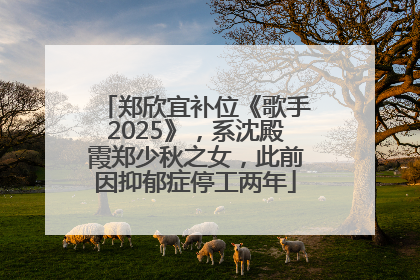 郑欣宜补位《歌手2025》，系沈殿霞郑少秋之女，此前因抑郁症停工两年