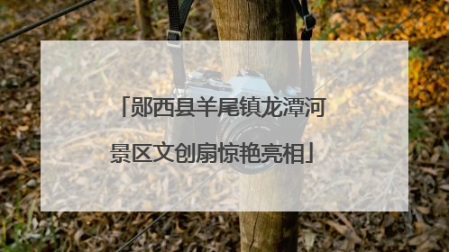 郧西县羊尾镇龙潭河景区文创扇惊艳亮相
