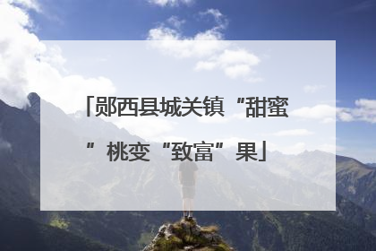 郧西县城关镇“甜蜜”桃变“致富”果
