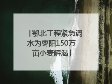 鄂北工程紧急调水为枣阳150万亩小麦解渴