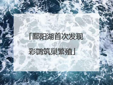鄱阳湖首次发现彩鹮筑巢繁殖