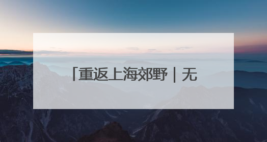 重返上海郊野｜无斑雨蛙“回乡记”
