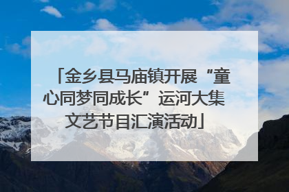 金乡县马庙镇开展“童心同梦同成长”运河大集文艺节目汇演活动
