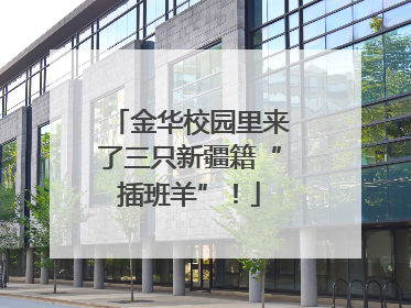 金华校园里来了三只新疆籍“插班羊”！