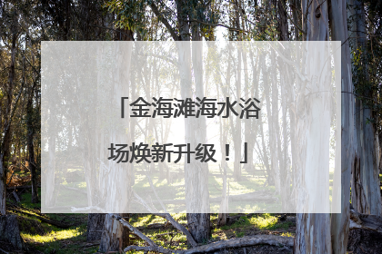 金海滩海水浴场焕新升级！