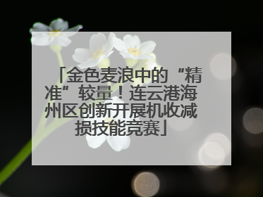 金色麦浪中的“精准”较量！连云港海州区创新开展机收减损技能竞赛