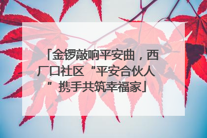 金锣敲响平安曲，西厂口社区“平安合伙人”携手共筑幸福家