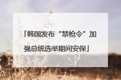 韩国发布“禁枪令”加强总统选举期间安保