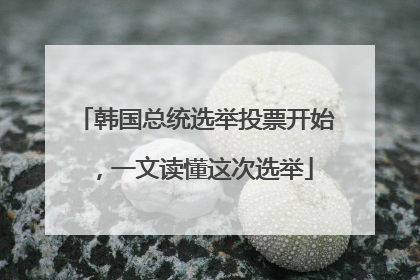 韩国总统选举投票开始，一文读懂这次选举