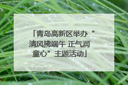 青岛高新区举办“清风拂端午 正气润童心”主题活动