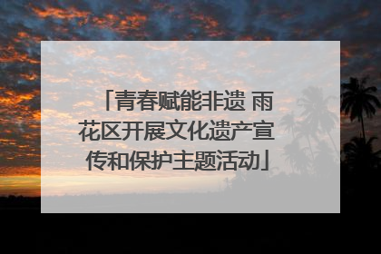 青春赋能非遗 雨花区开展文化遗产宣传和保护主题活动