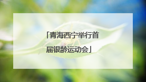 青海西宁举行首届银龄运动会