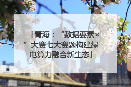 青海：“数据要素×”大赛七大赛题构建绿电算力融合新生态