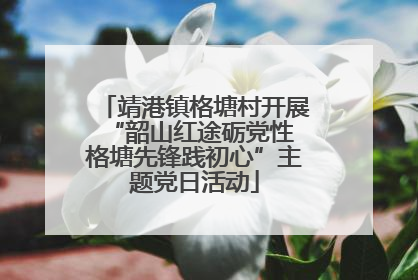 靖港镇格塘村开展“韶山红途砺党性 格塘先锋践初心”主题党日活动