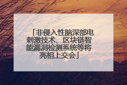 非侵入性脑深部电刺激技术、区块链智能漏洞检测系统等将亮相上交会