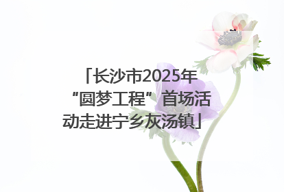 长沙市2025年“圆梦工程”首场活动走进宁乡灰汤镇