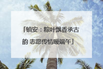 镇安：粽叶飘香承古韵 志愿传情暖端午