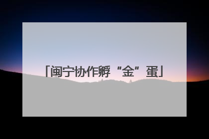 闽宁协作孵“金”蛋