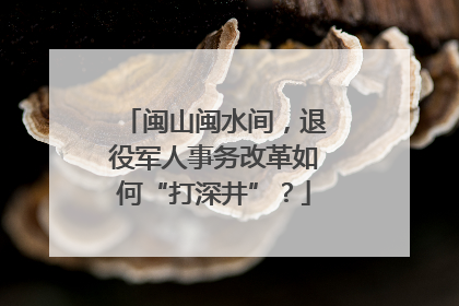 闽山闽水间，退役军人事务改革如何“打深井”？
