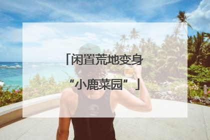 闲置荒地变身“小鹿菜园”