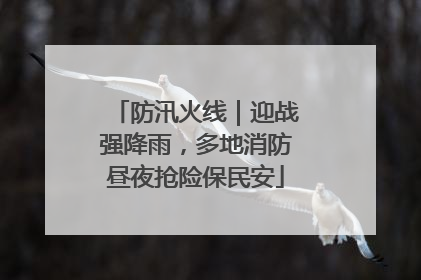防汛火线｜迎战强降雨，多地消防昼夜抢险保民安
