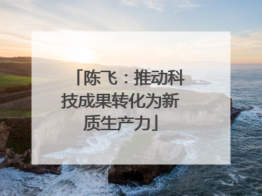 陈飞：推动科技成果转化为新质生产力