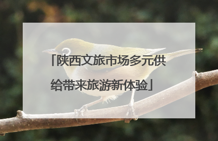 陕西文旅市场多元供给带来旅游新体验